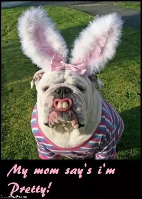 My Mom Says Im Pretty