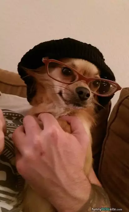 Do I Look Smarter