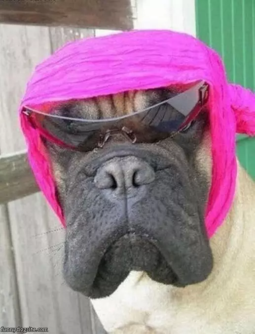 What You Looking At