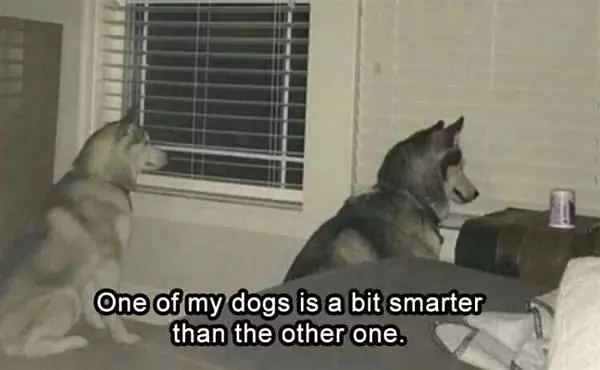 One Is A Bit Smarter