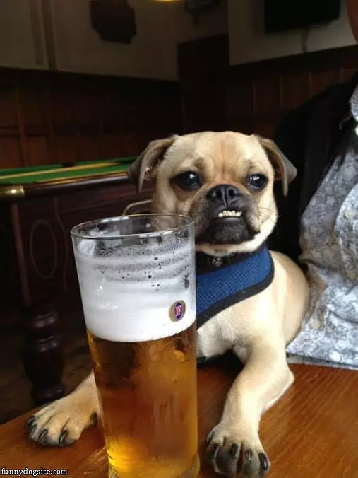 Just Enjoying A Beer