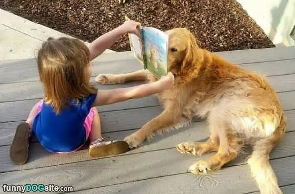 Reading A Book Together