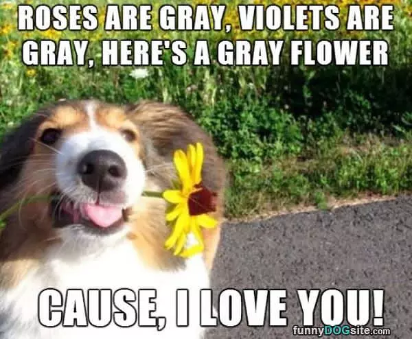 A Poem