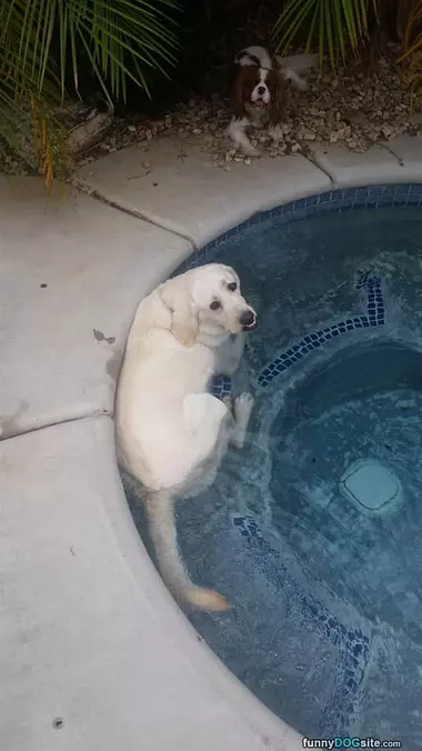 Pool Time