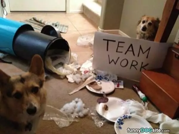 Team Work