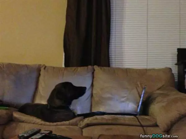 Checking My Email