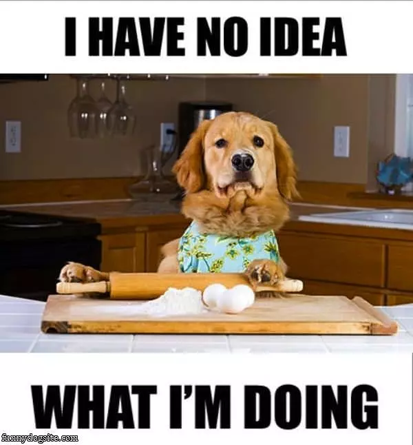 No Idea