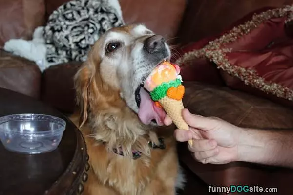 Nommm Nommmm Ice Cream