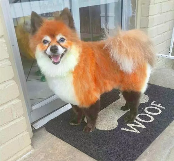 Cool Legs