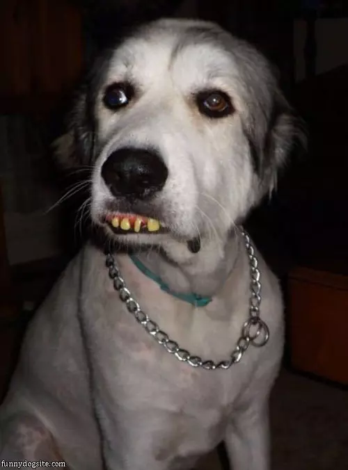 Nice Teeths