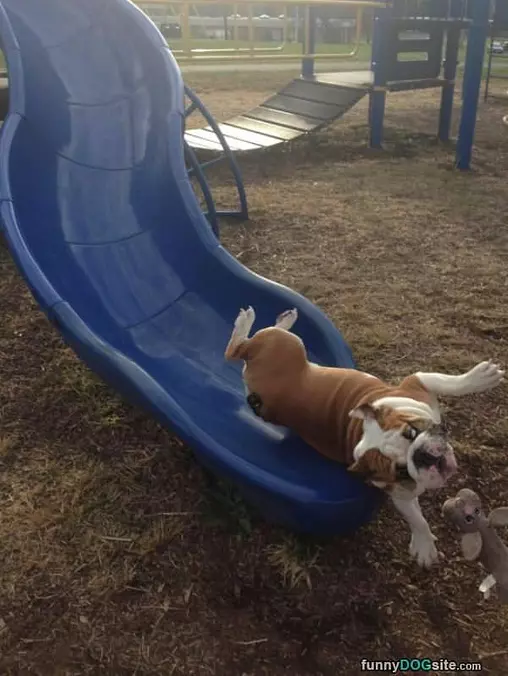 Slip And Slide