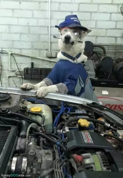 Fixing It All Up