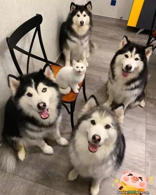 We Are A Family