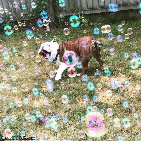 Allll Theseeee Bubbles