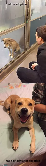 Before And After