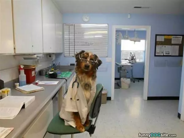 The Dr Is In