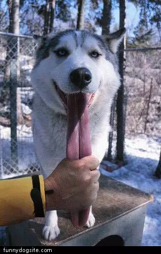 Snack Time