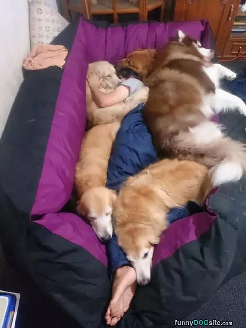 Comfortable Bed