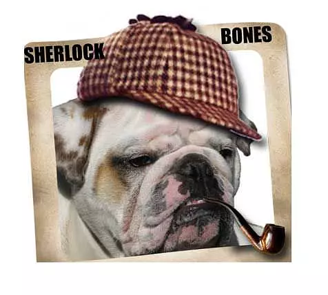 Sherlock Bones