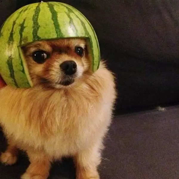 Nice Helmet