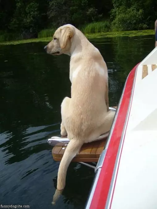 Cooling Off