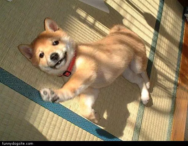 Just Stretching