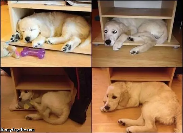Growing Up