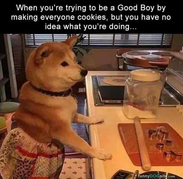 Trying To Be A Good Boy