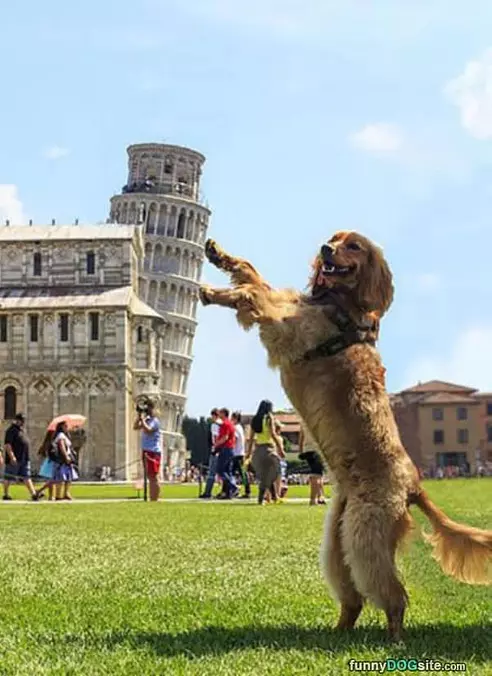 Holding It Up