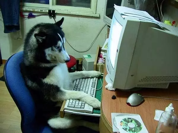 Tech Support