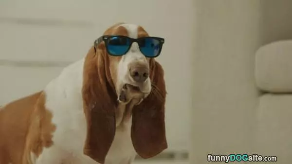 Whats Up Guys