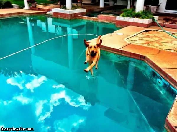 Doing Some Walking On Water