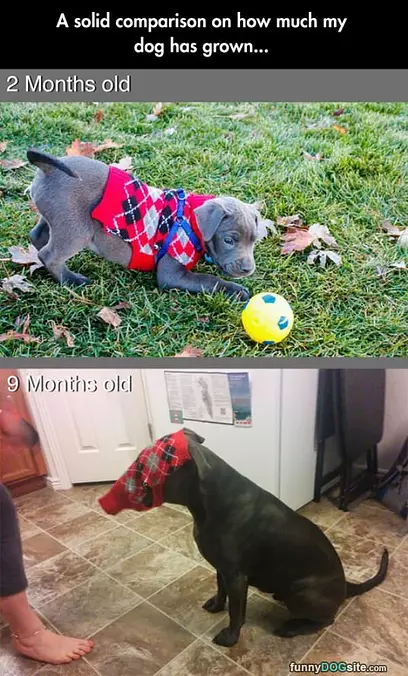 Growing Up So Fast
