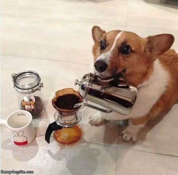 Making Some Coffee
