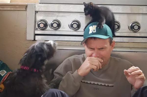 Get Out Of Here Cat