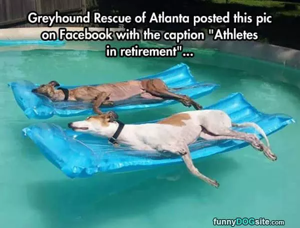 Athletes In Retirement