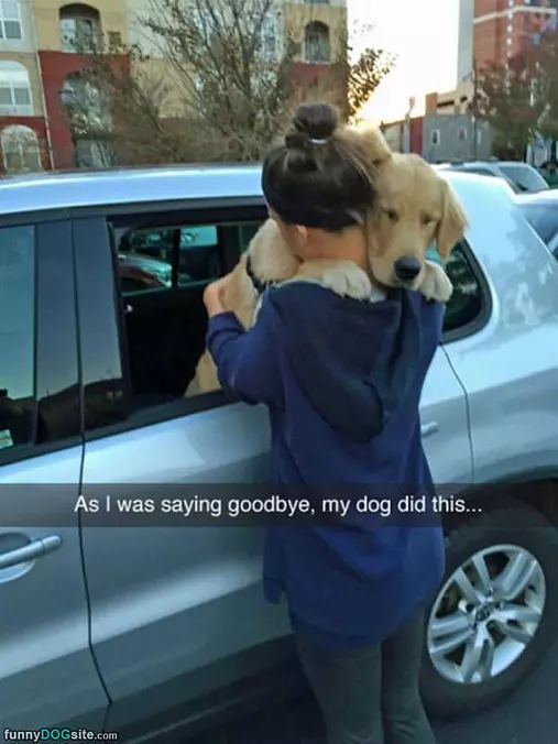 Saying Goodbye