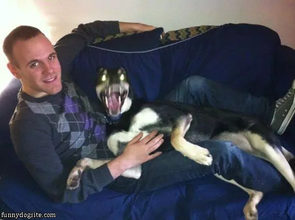 Too Fast For Pictures