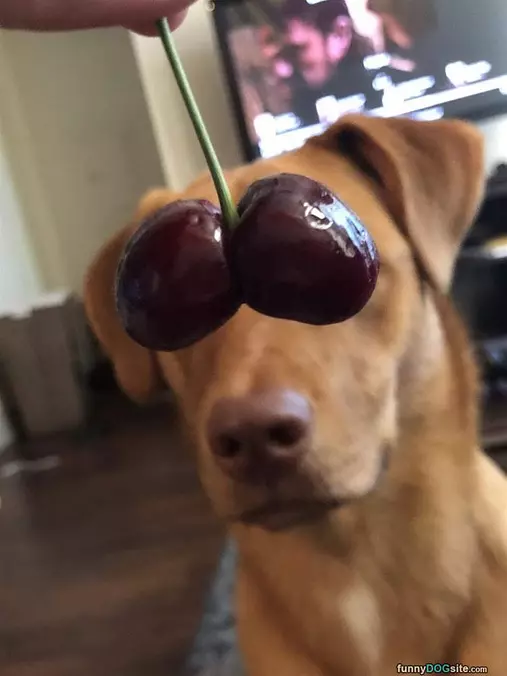 Cherry Eyes