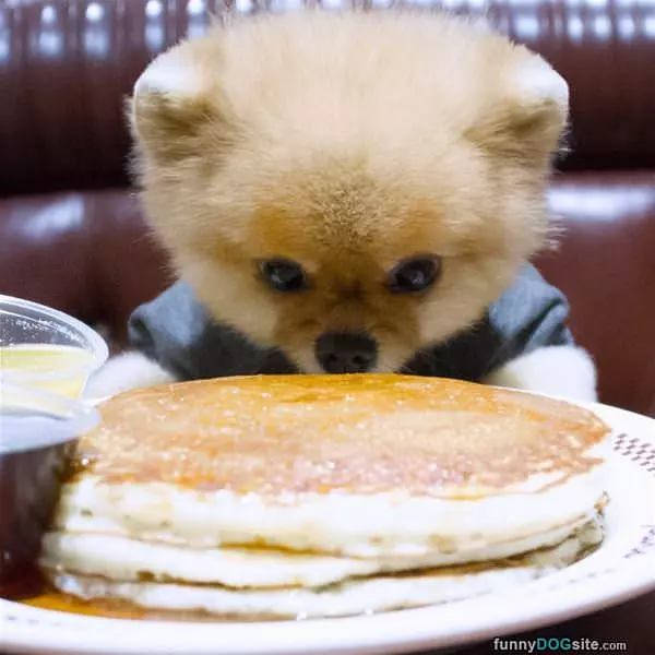 I Do Love Some Pancakes