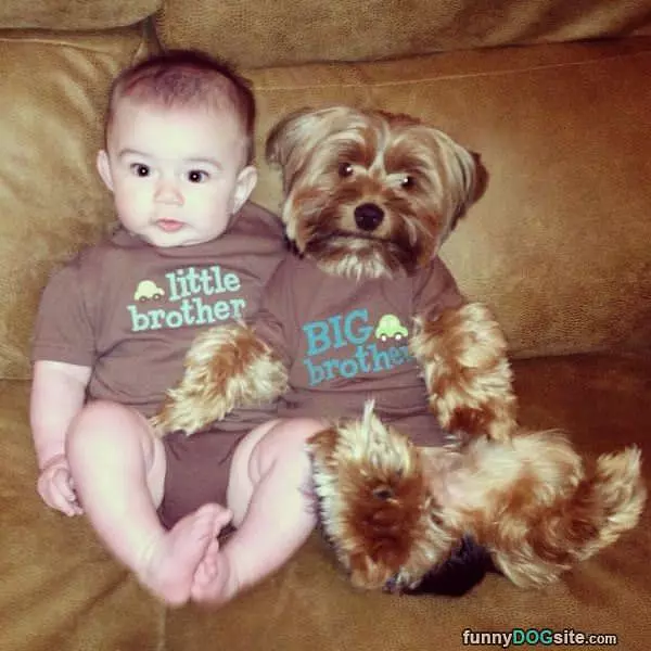 Almost Like Brothers