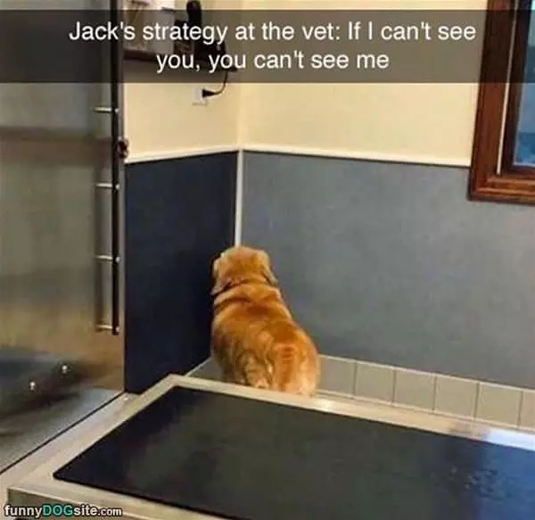 Cannot See Me