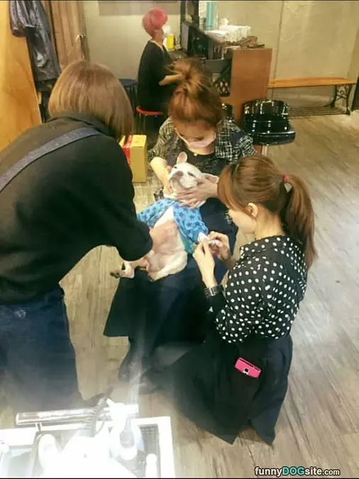 Getting All Done Up