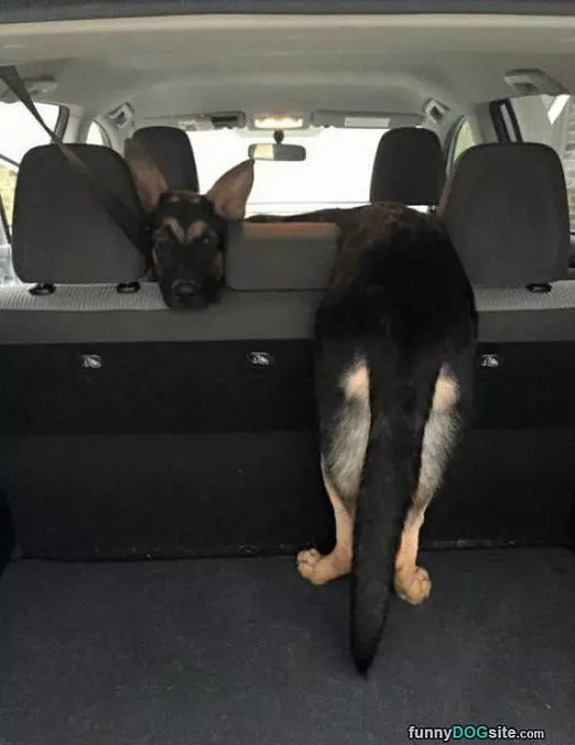 How I Sits