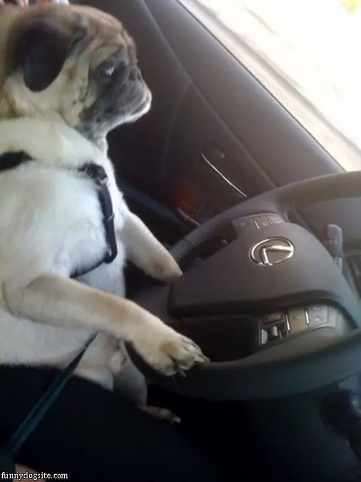 Just A Drive
