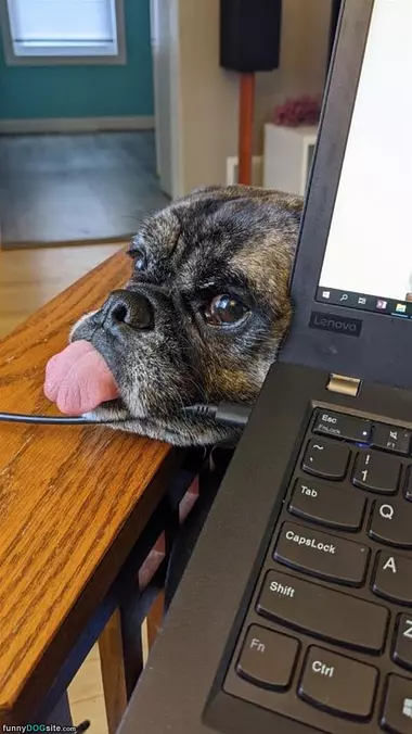 Tongue Out