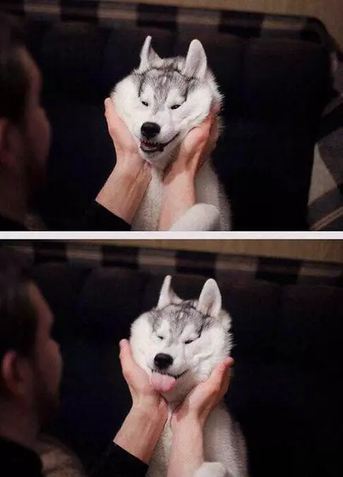 Yaaaaaaa