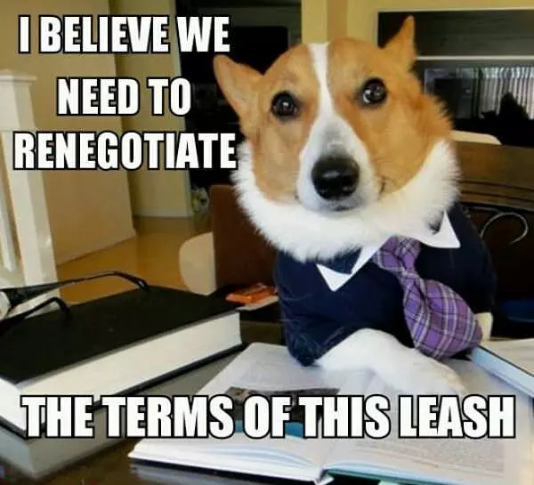Negotiation