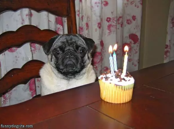 Its My Birthday