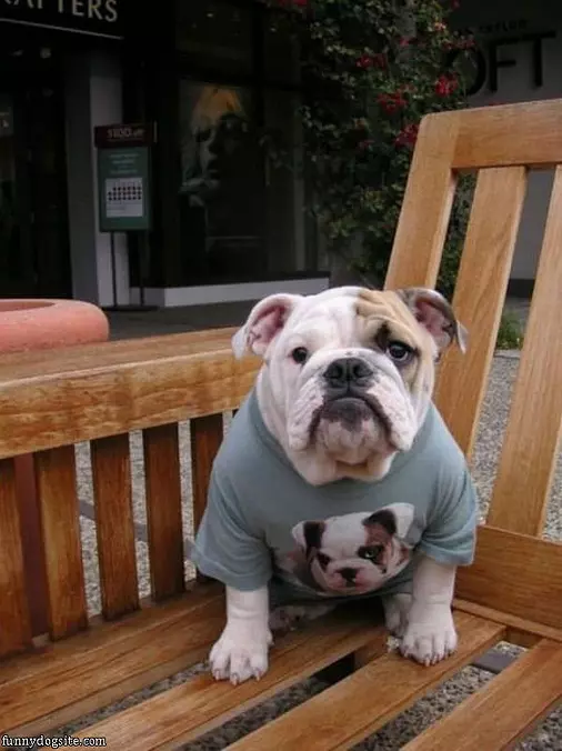 Nice Shirt
